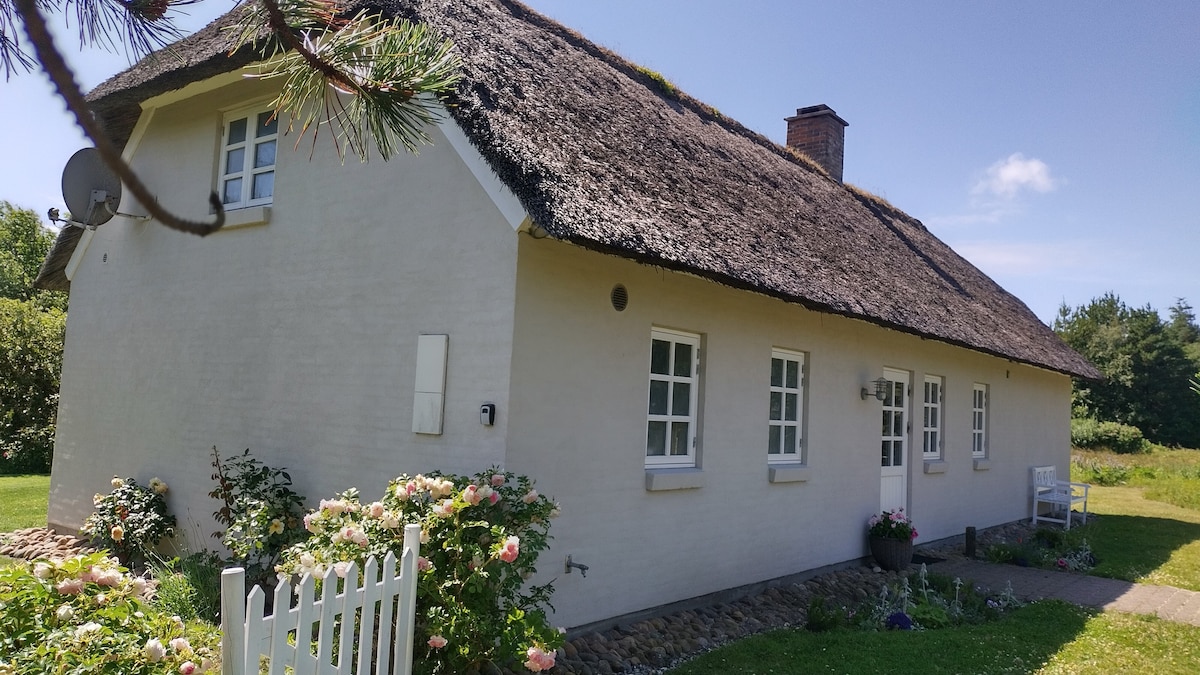 Holiday Cottage for 6 persons 800 m. to the beach