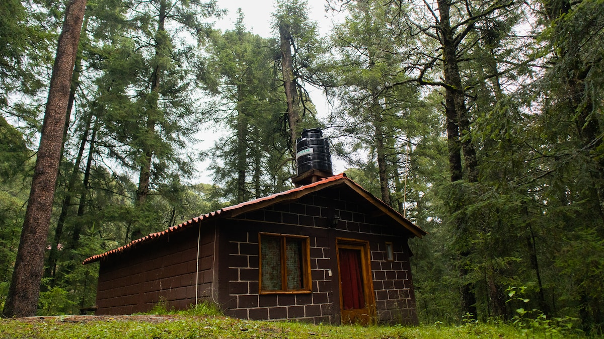 火山山麓的小木屋。