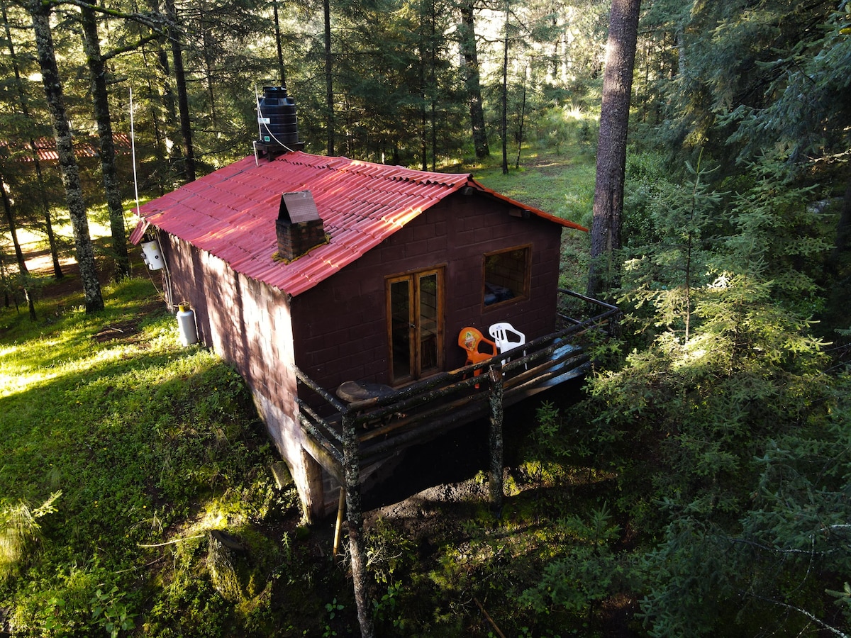 火山山麓的小木屋。