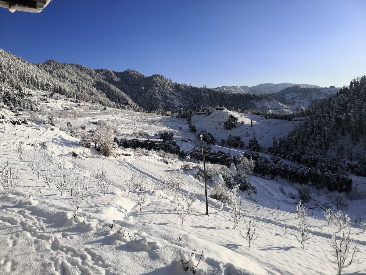 Upper Shimla, Shaali Timba Trek, Farm House Valley