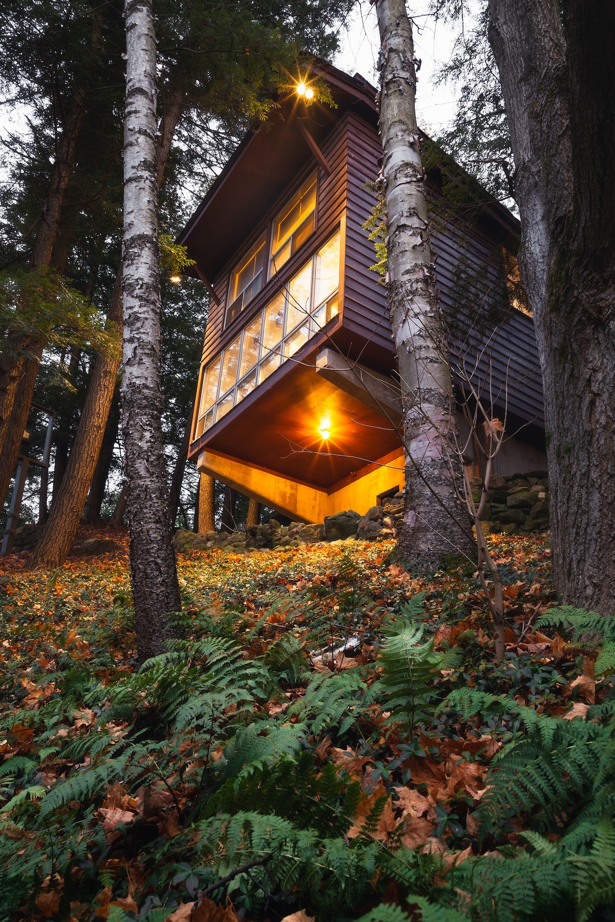 森林中的木制客房