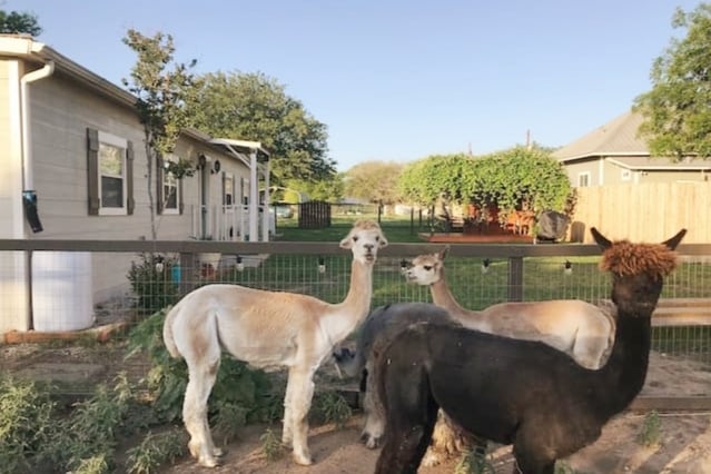 Casa Alpaca