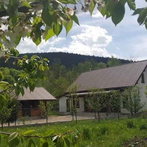 Sucevița的民宿