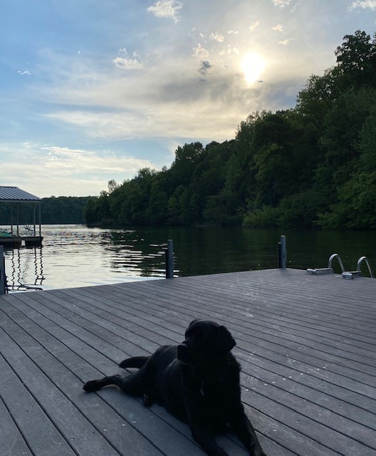 Beautiful Lake House sits right on Tims Ford Lake