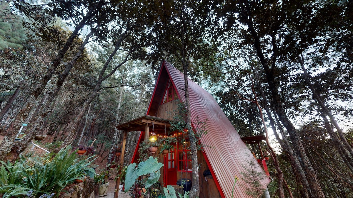 VillaTulita 2 Tecpán - a frame cabin in the forest