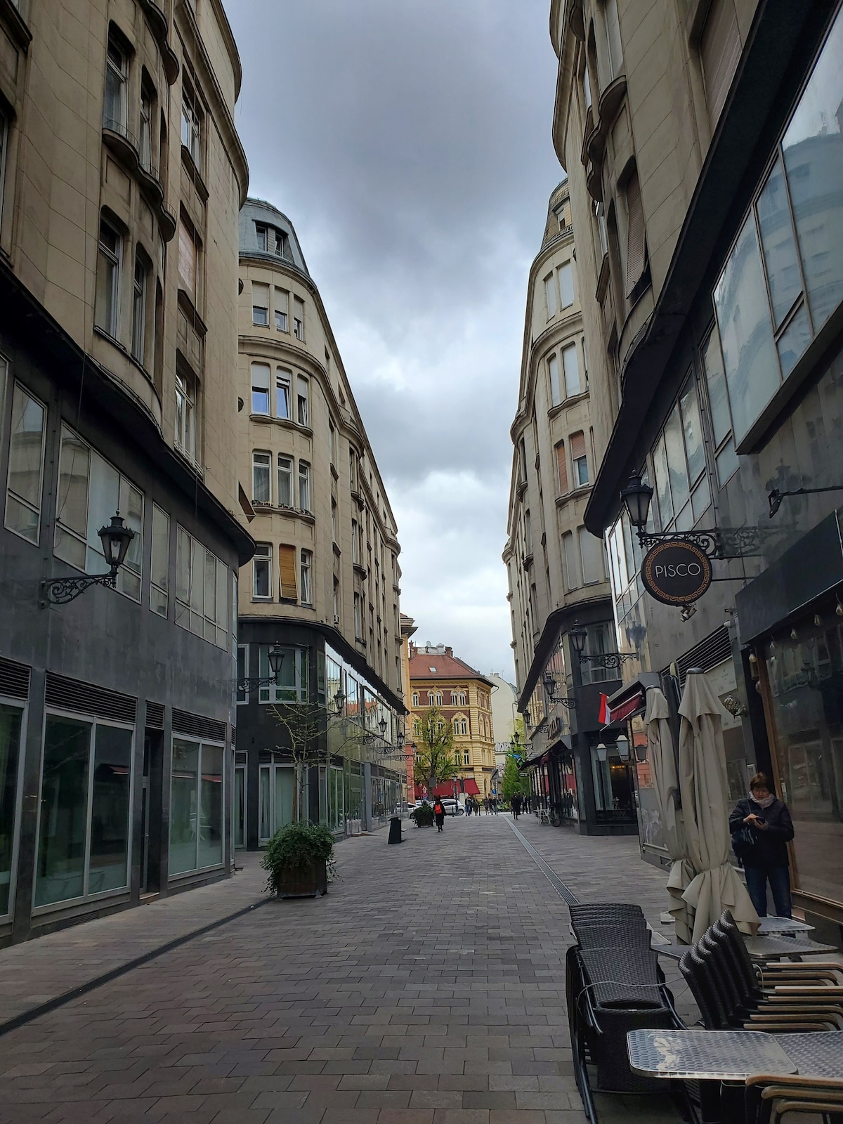 Budapest waiking street-T