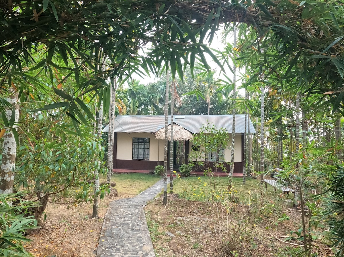 Annie's Nature Lodge Room II