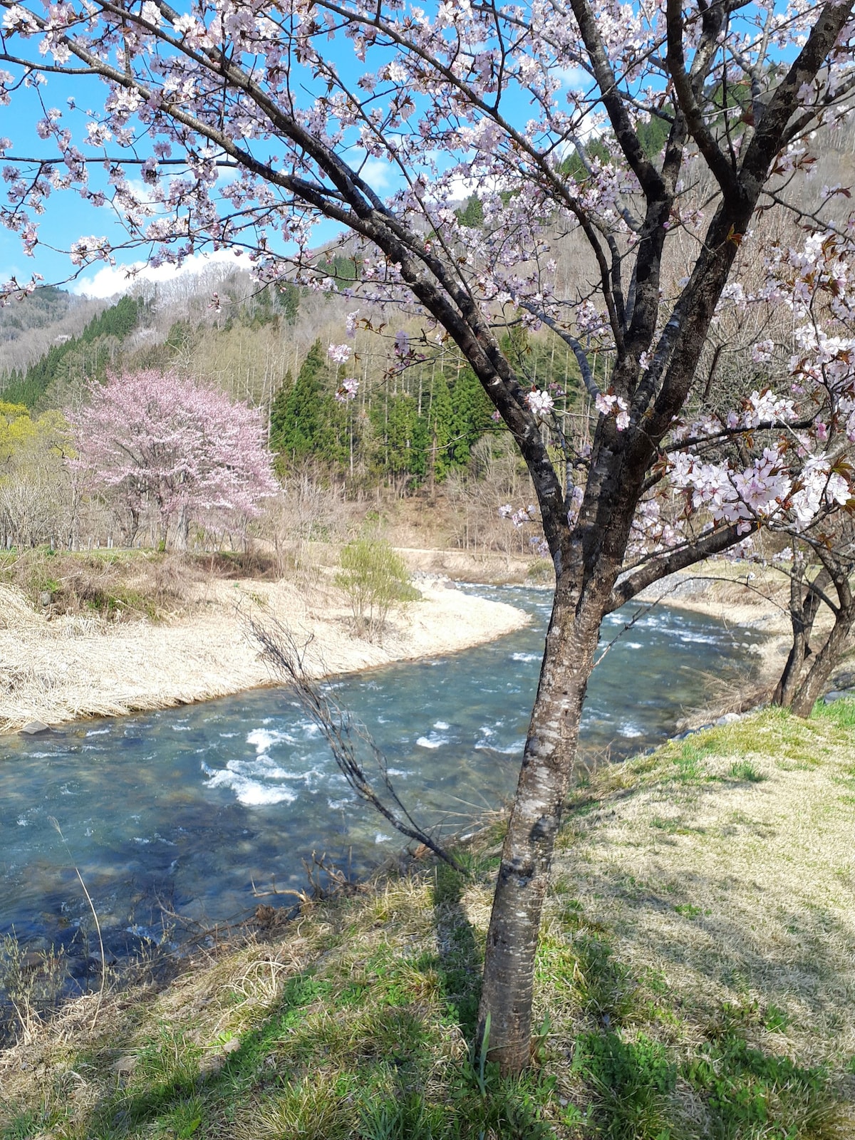 Ikeda Lifekan Hakuba Apartment 3 bed room