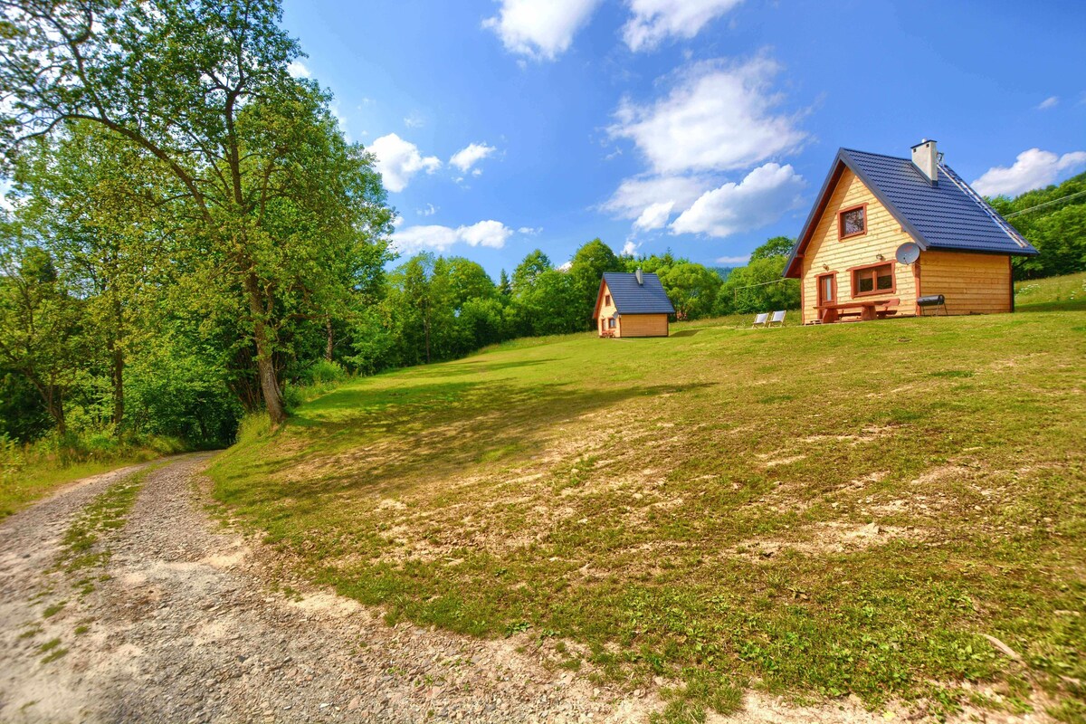 德韦尔尼克的Bukovina Bieszczady