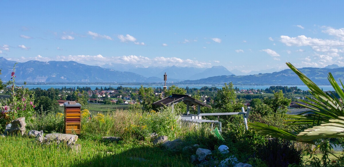 IDA阿姨的度假屋，可欣赏湖景和山景