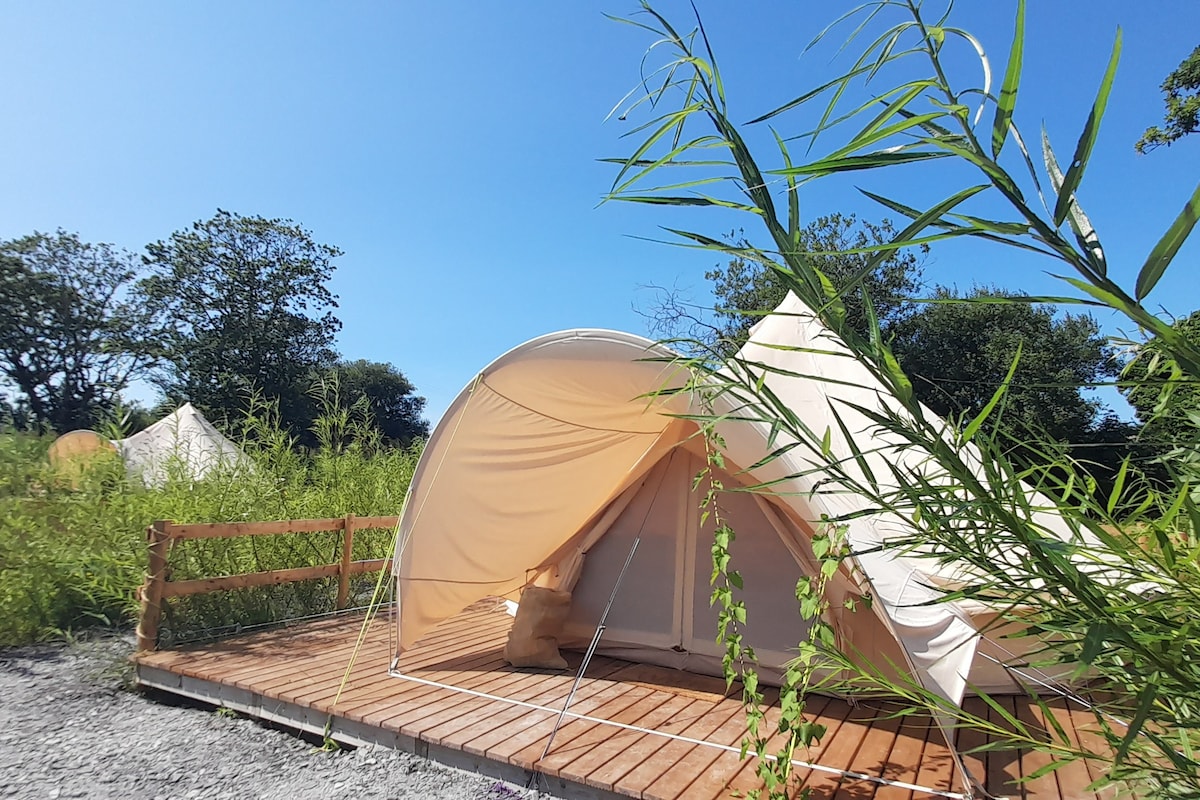 Wildflower Meadow Glamping - Luna at Ty Cynan