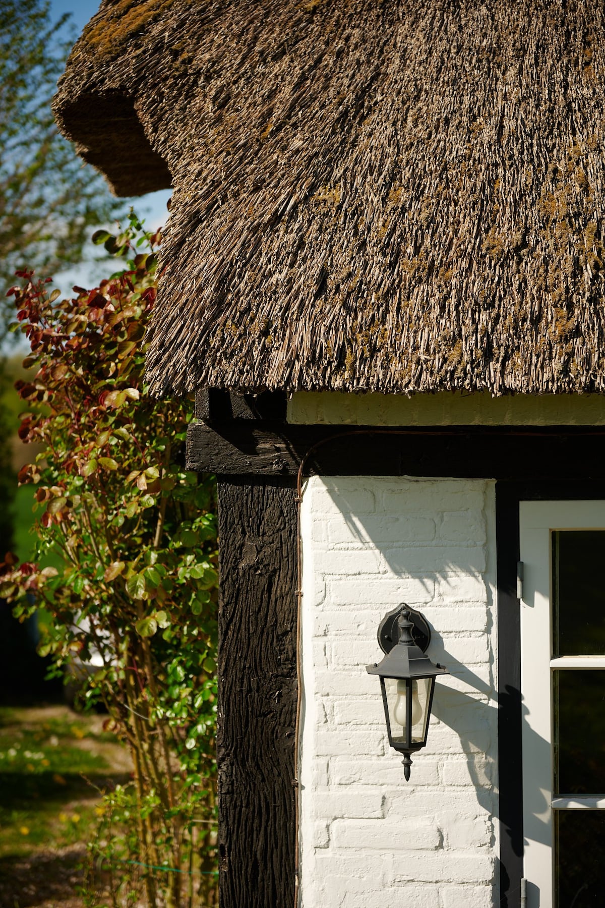 Thatched Cottage at the Baltic Sea