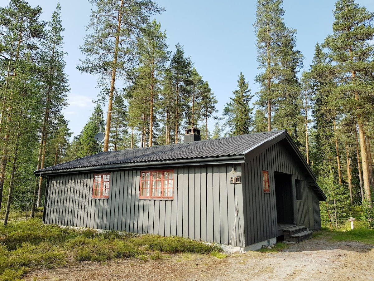 Trysil/Ljørdalen Hoelskogen