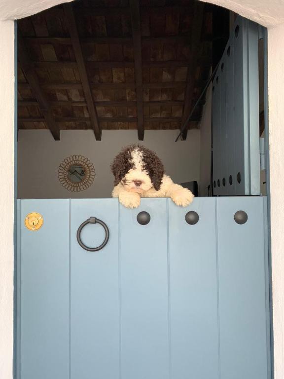 La Puerta Azul Vivienda Rural