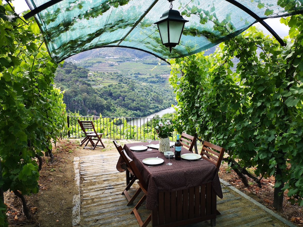 Quinta Barqueiros D`Ouro - Casa da Vinha