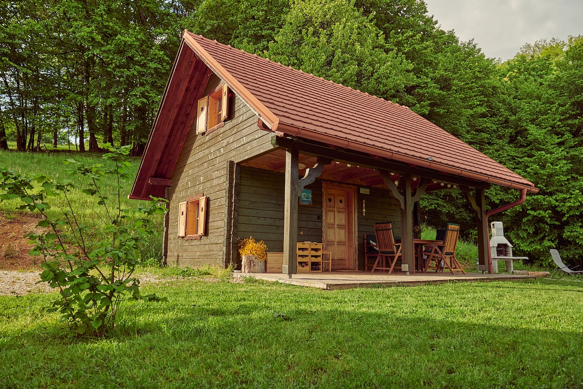 Srčna, a beautiful  log cabin with amazing view