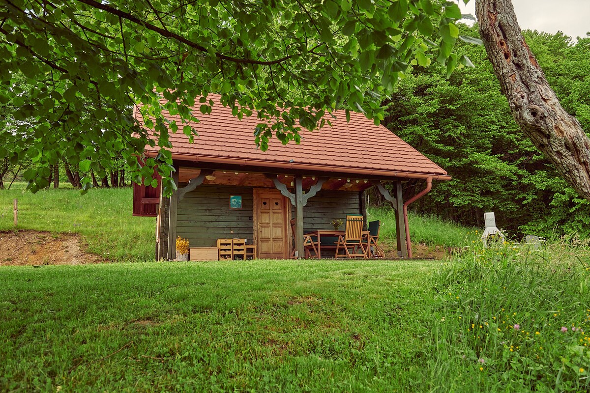 Srčna, a beautiful  log cabin with amazing view