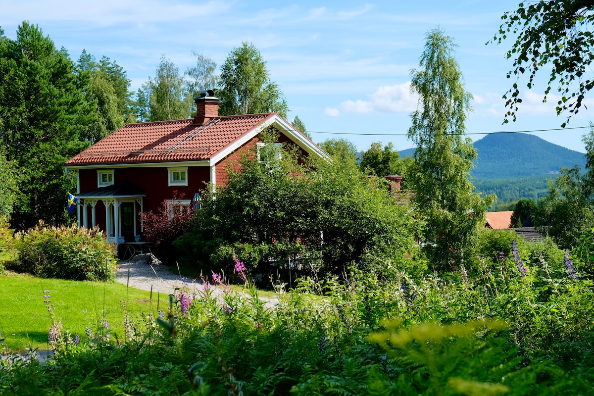 位于Järvsöbacken旁边的温馨房屋，靠近村庄