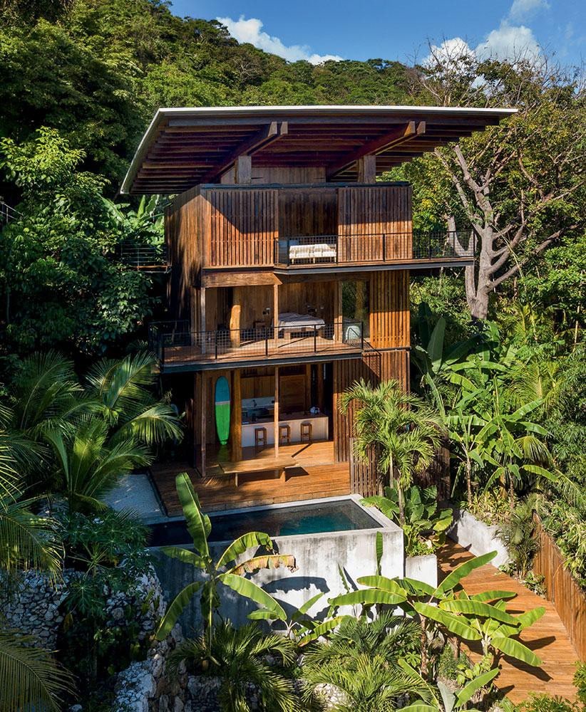 Hermosa树屋：豪华丛林和海滩度假屋
