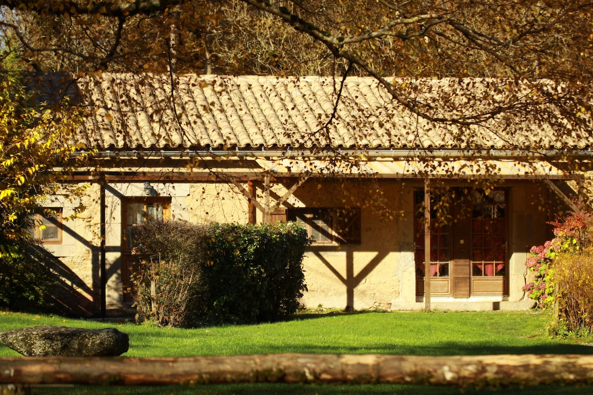 Calme, forêt et ciel étoilé