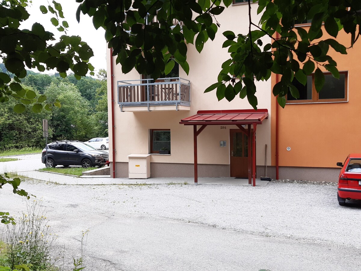 Apartmán Horní Lipová č. 3