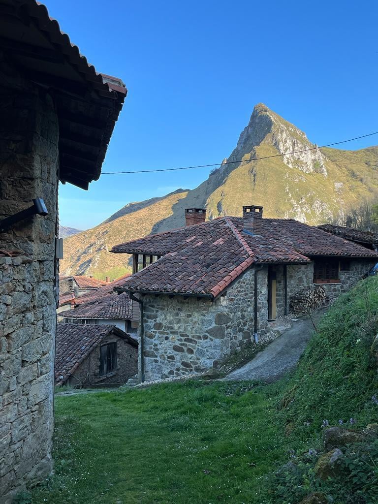 Escápate a nuestra casa con dos estufas de leña