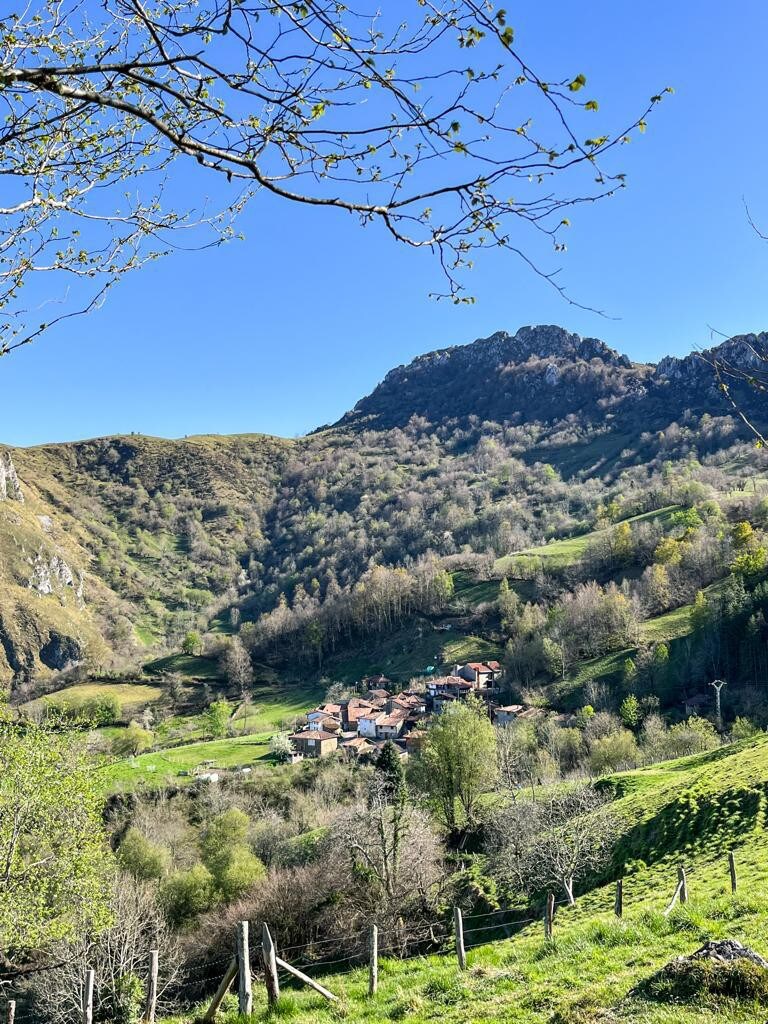 Escápate a nuestra casa con dos estufas de leña