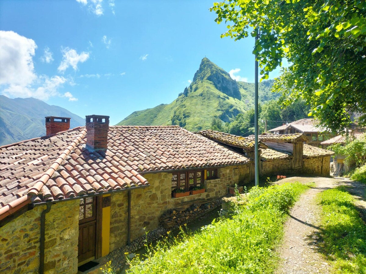 Escápate a nuestra casa con dos estufas de leña