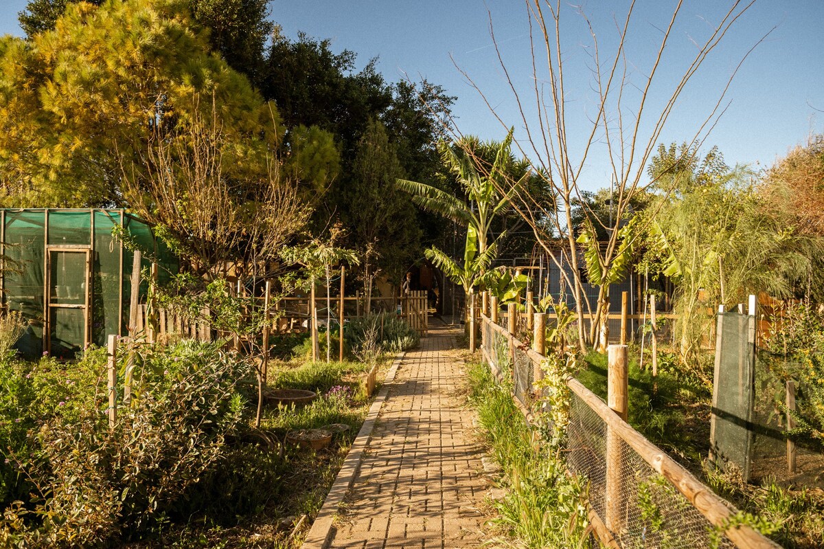 带令人惊艳花园的宁静海景房