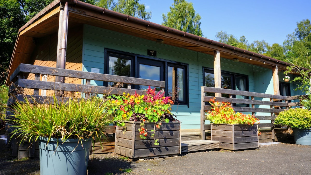 Woodland Pine Lodge by Killin, Loch Tay