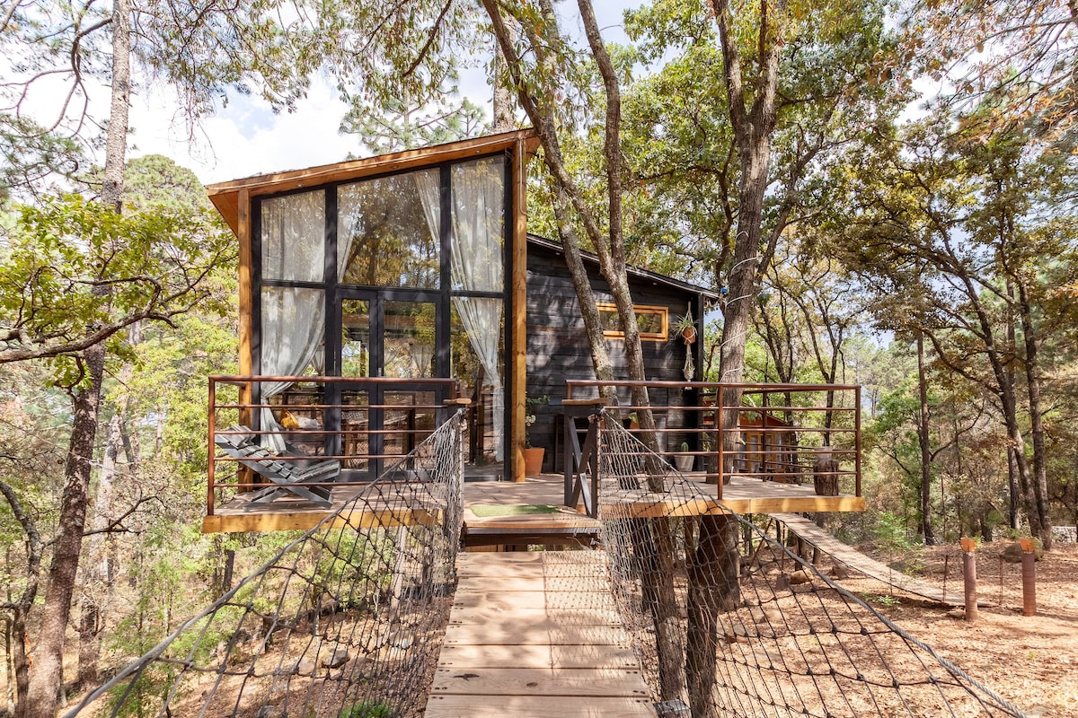 Pinochueco Tree House (Patagonia)