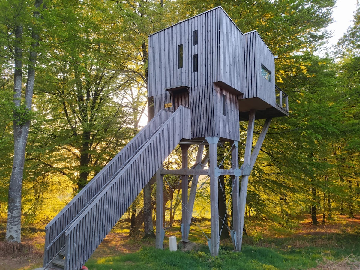 诺曼底树屋（ Treehouse Normandy in DRILL ）