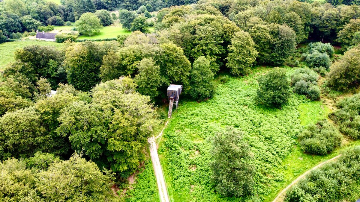 诺曼底树屋（ Treehouse Normandy in DRILL ）