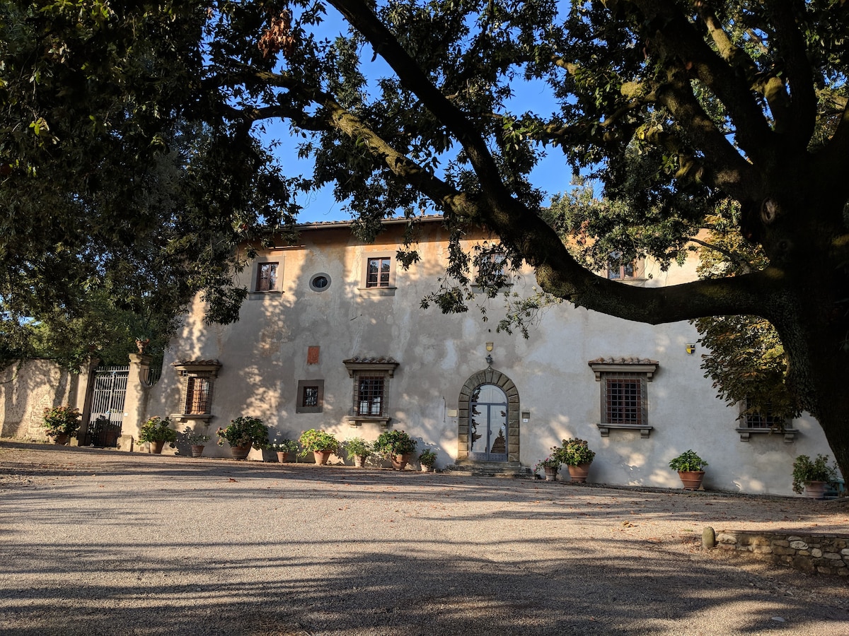 历史悠久的别墅-带葡萄园和橄榄树