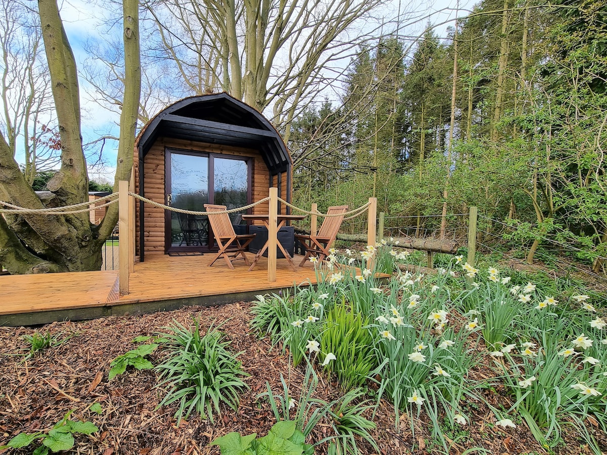 Kingsley Glamping Pods - The Beech Pod