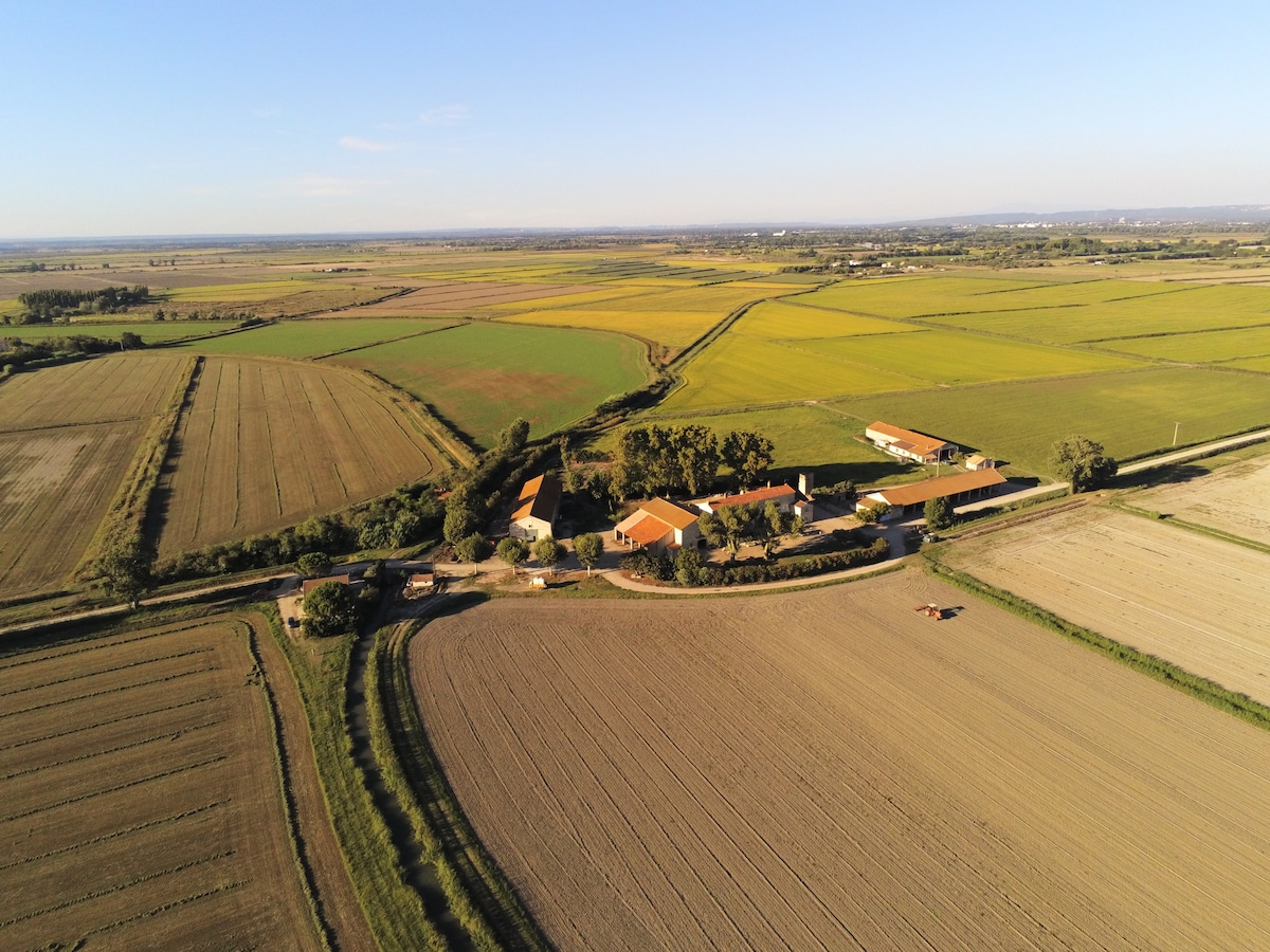 Gite le Cigalon "Les pied en Camargue"