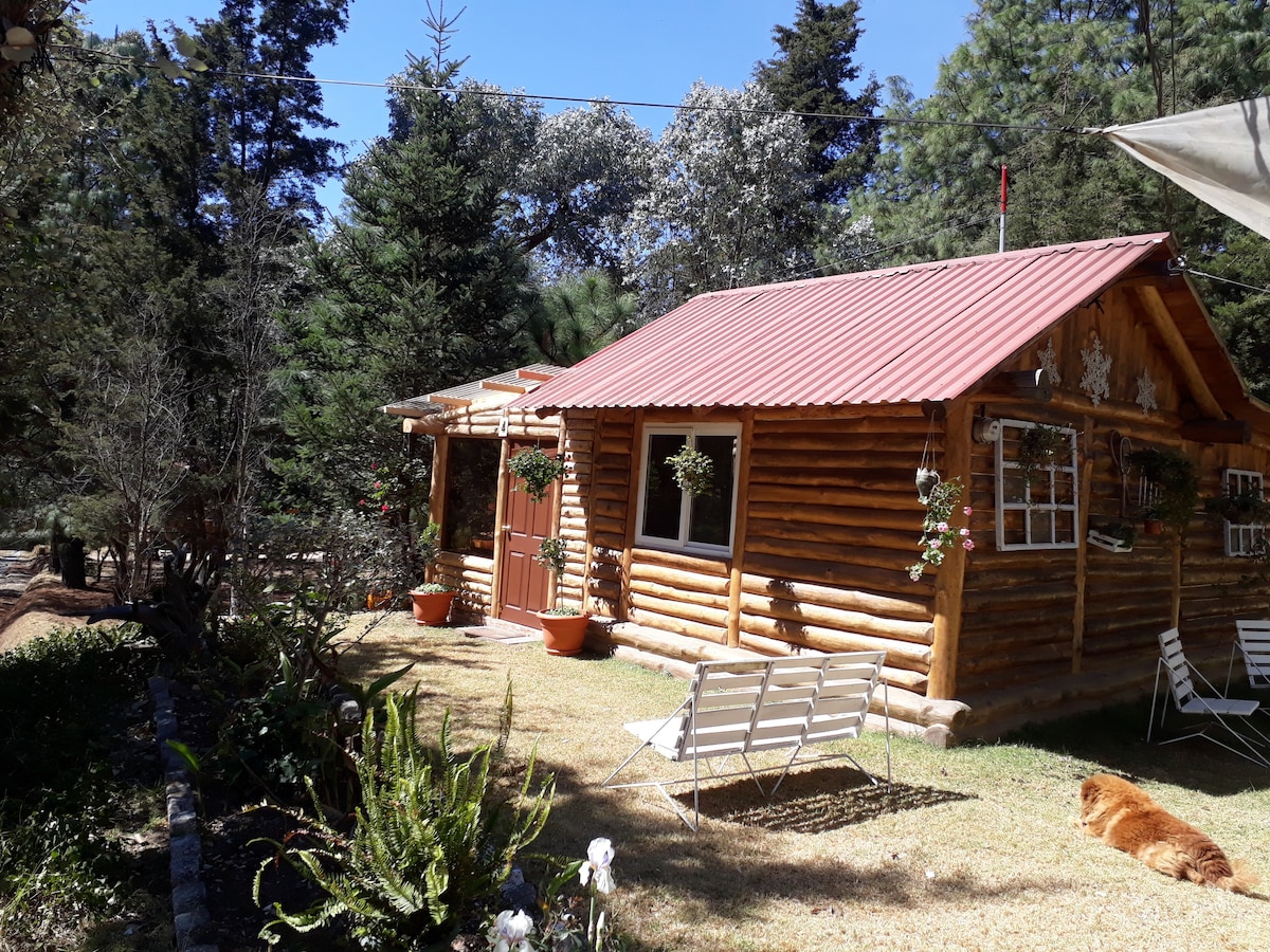 Cabaña en el Bosque