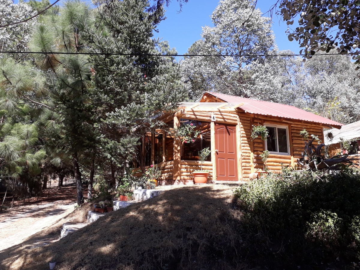 Cabaña en el Bosque