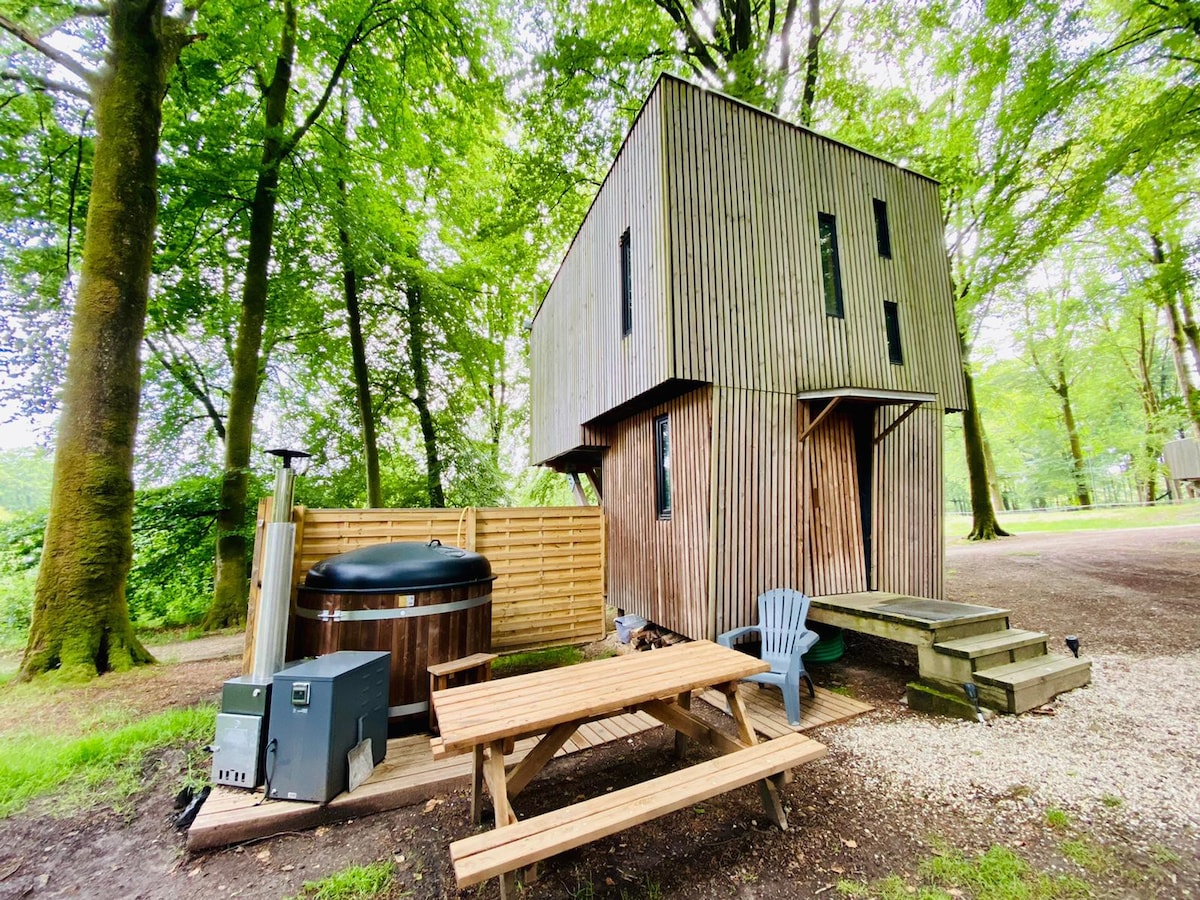 Cabane sur pilotis Normandie ETAPE EN FORET