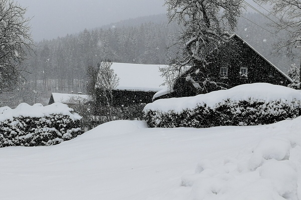 Chalet pod Špičák