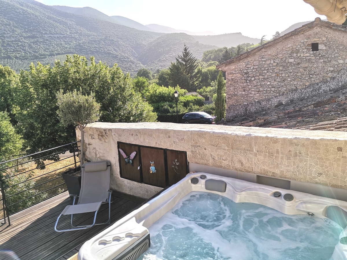 Gîte l'écrin-Ventoux-Toulourenc- Gd. spa/vue pano.