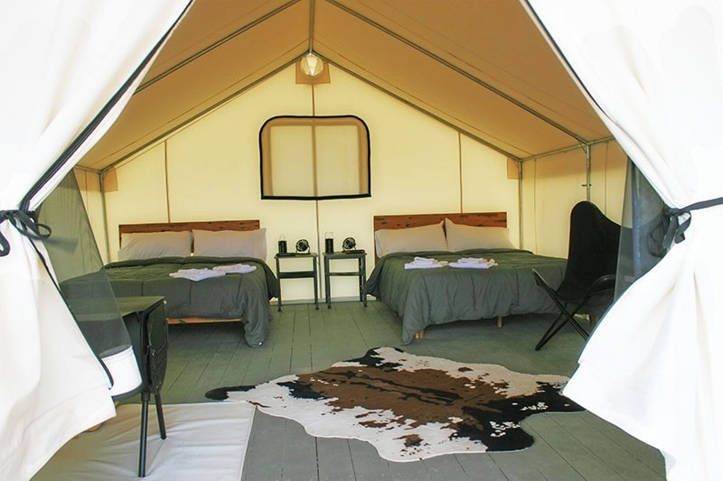 豪华露营帐篷，配备2张双人床，含早餐！