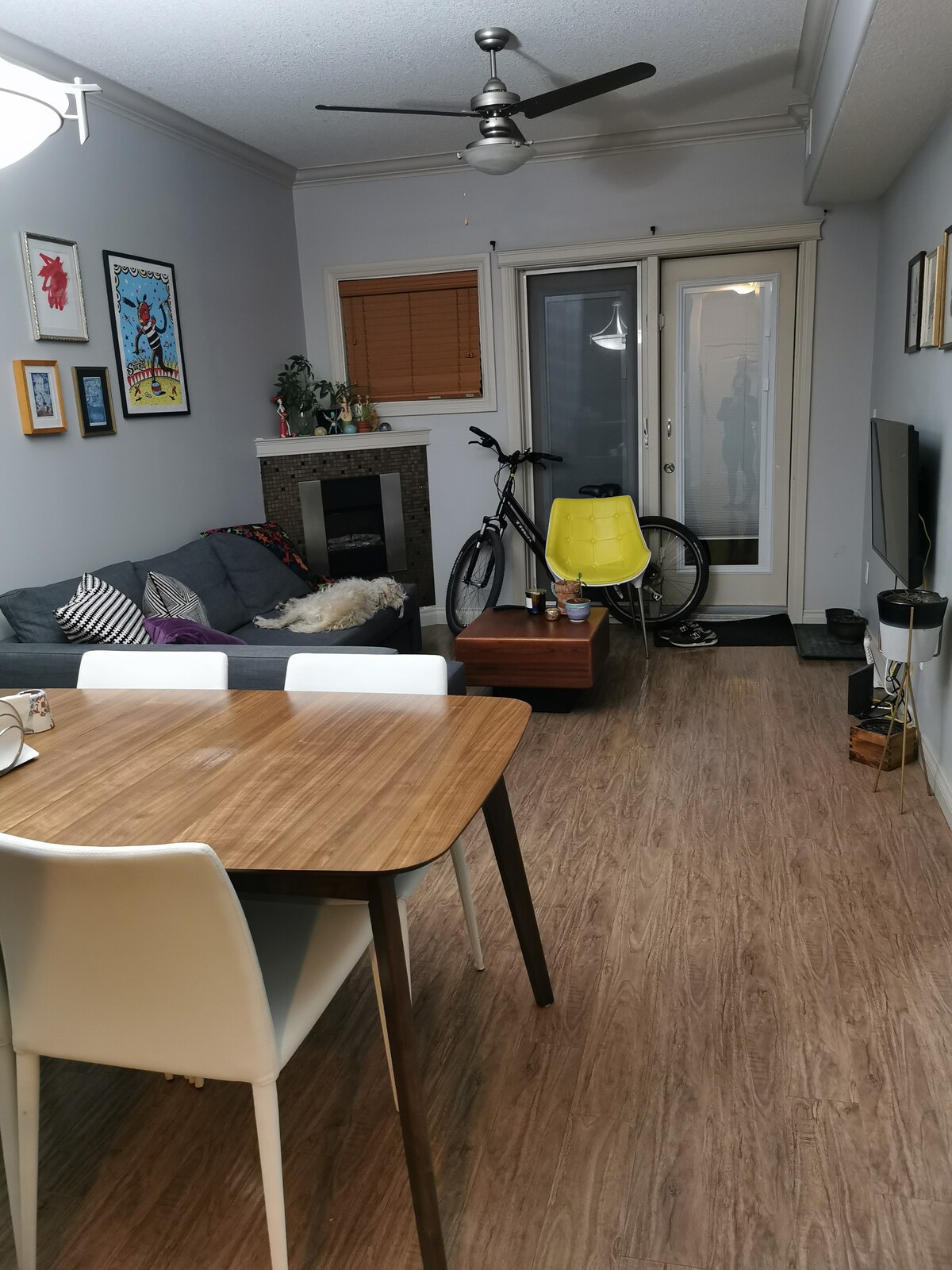 Entire Condo walking distance to WHYTE AVE!