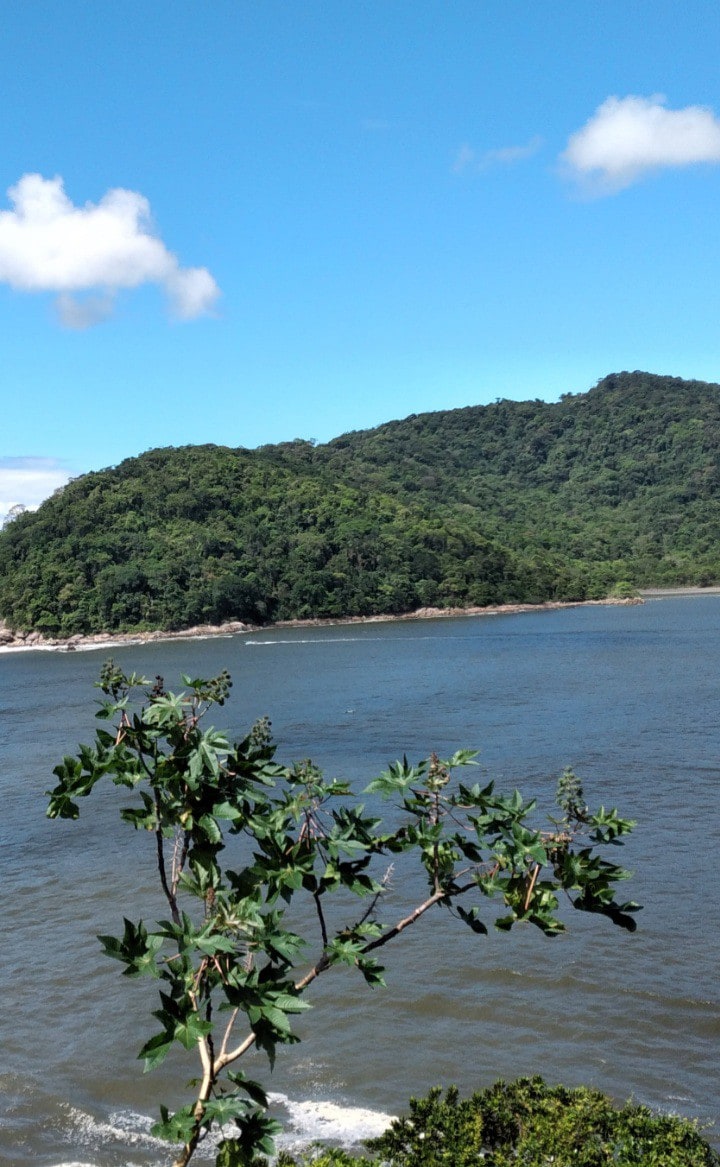 SãoVicente/Porchat Island/Mar e Alegria ！