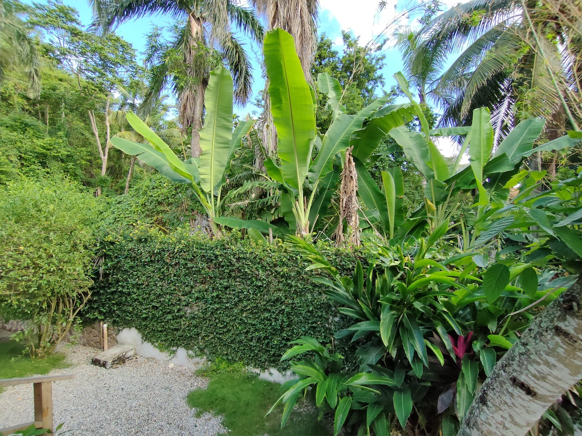 Queen Room - Garden View