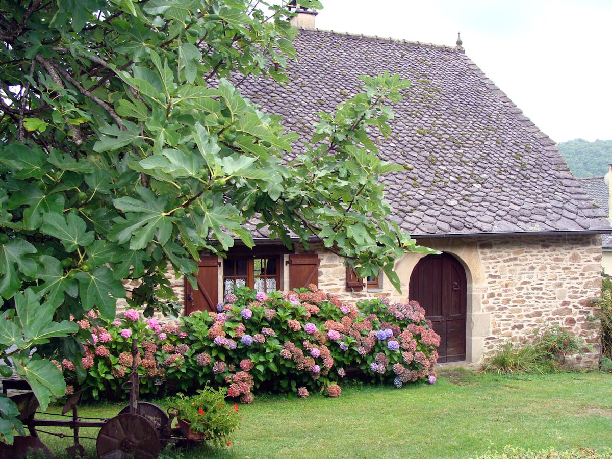 俯瞰Cère山谷的特色小屋