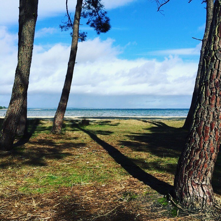 湖畔带海滩的新木屋