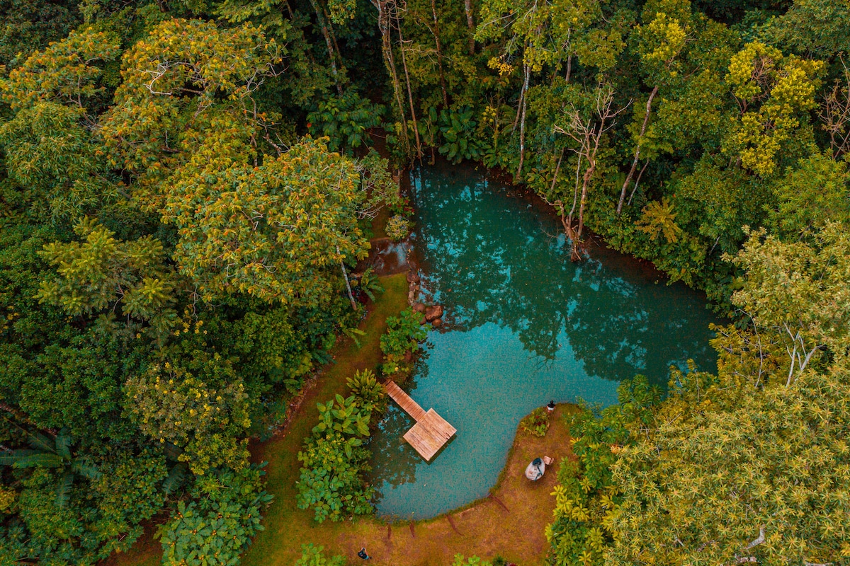 Santuario de Ranas Valle Azul.