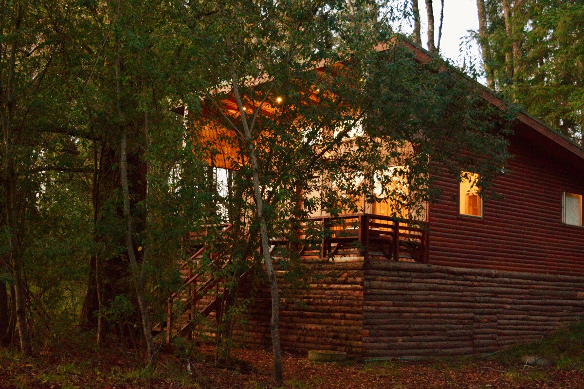 位于原始森林中的壮丽乡村小木屋。