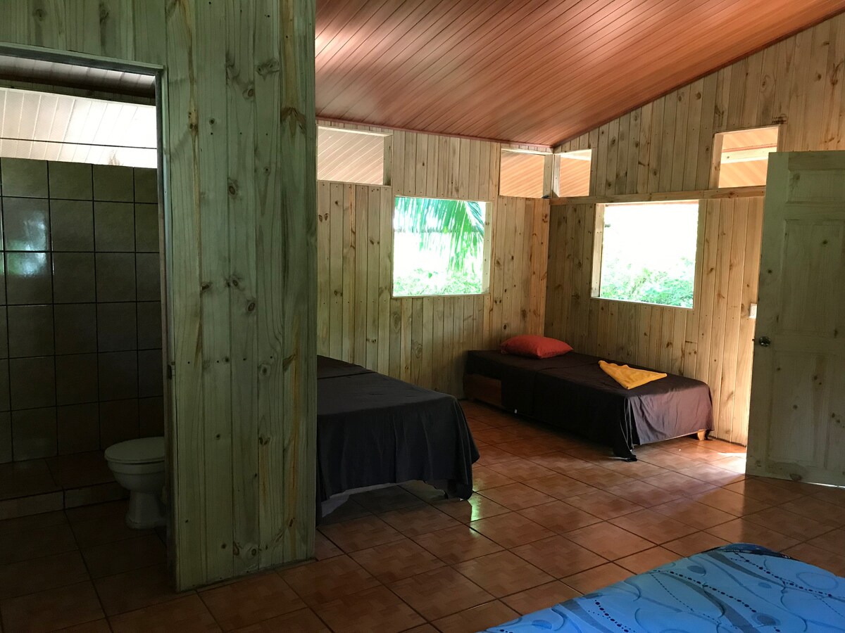 Sabalo Lodge-Casa Morpho - Chalets et Tours